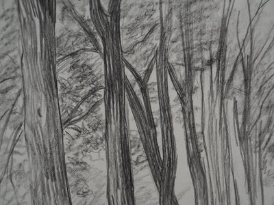 Léopold Franz KOWALSKI : Allée de platanes, c, Dessin original (photo de détail 5) - Crédit photo : Galerie Art.Paris