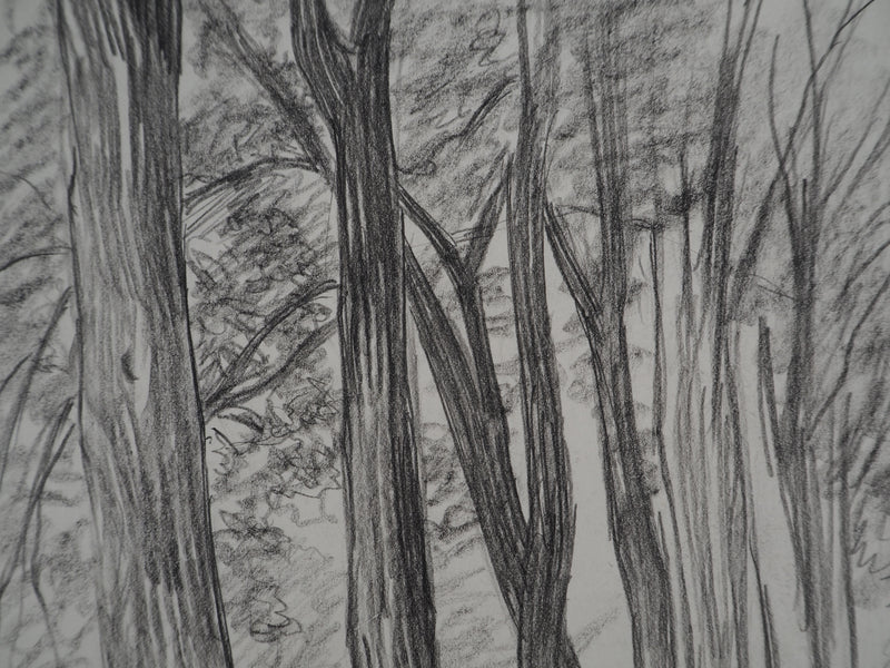 Léopold Franz KOWALSKI : Allée de platanes, c, Dessin original (photo de détail 5) - Crédit photo : Galerie Art.Paris