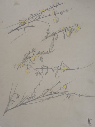 Léopold Franz KOWALSKI : Branches aux fleurs jaunes, c, Dessin original (photo de détail 2) - Crédit photo : Galerie Art.Paris