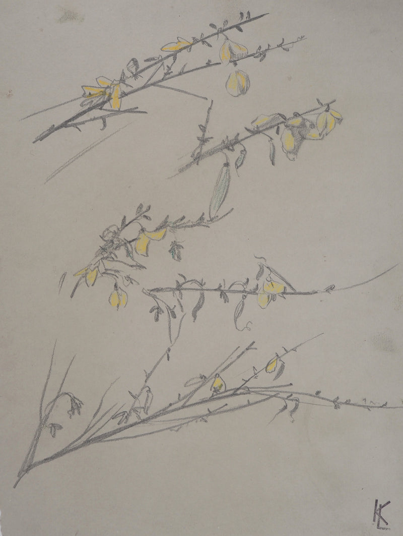 Léopold Franz KOWALSKI : Branches aux fleurs jaunes, c, Dessin original (photo de détail 2) - Crédit photo : Galerie Art.Paris