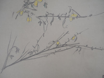 Léopold Franz KOWALSKI : Branches aux fleurs jaunes, c, Dessin original (photo de détail 4) - Crédit photo : Galerie Art.Paris