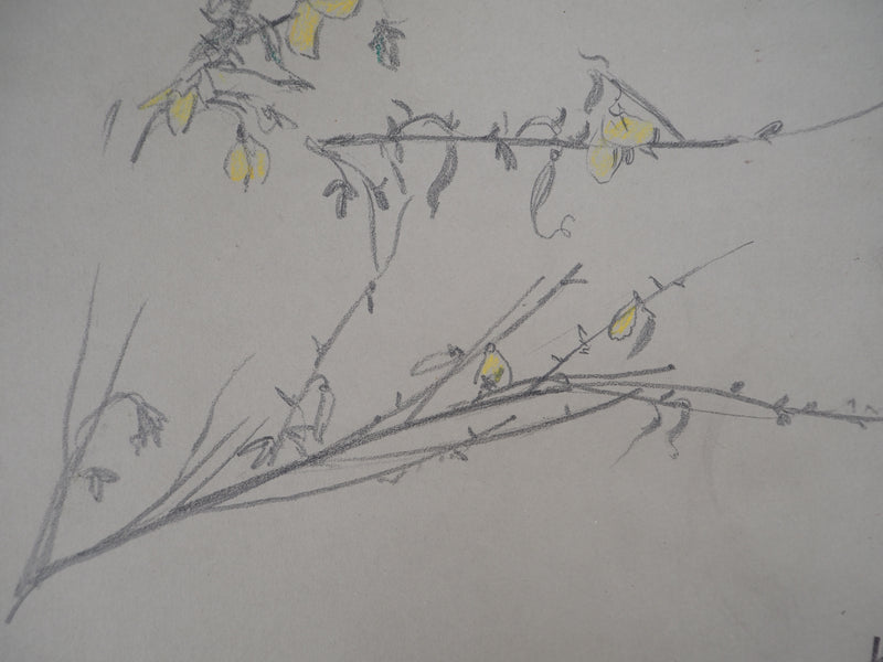 Léopold Franz KOWALSKI : Branches aux fleurs jaunes, c, Dessin original (photo de détail 4) - Crédit photo : Galerie Art.Paris