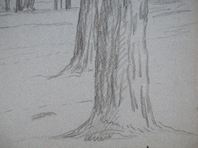 Léopold Franz KOWALSKI : Troncs de clairière, c, Dessin original (photo de détail 5) - Crédit photo : Galerie Art.Paris