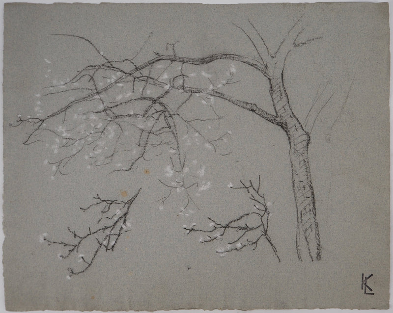 Léopold Franz KOWALSKI : Branche fleurie, c, Dessin original (vue générale) - Crédit photo : Galerie Art.Paris