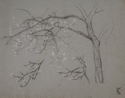 Léopold Franz KOWALSKI : Branche fleurie, c, Dessin original (photo de détail 2) - Crédit photo : Galerie Art.Paris