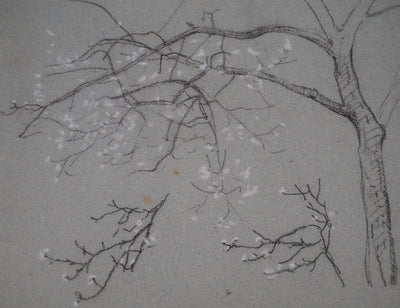 Léopold Franz KOWALSKI : Branche fleurie, c, Dessin original (photo de détail 3) - Crédit photo : Galerie Art.Paris