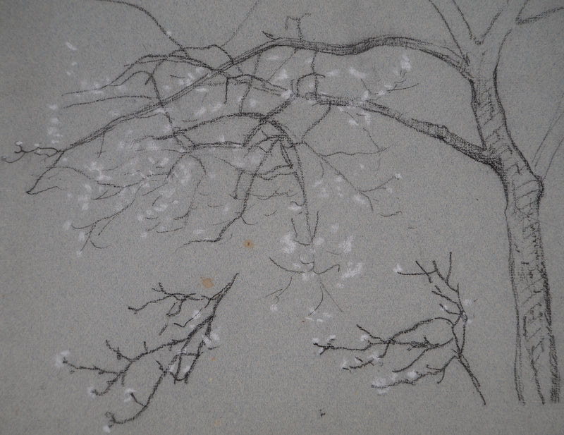 Léopold Franz KOWALSKI : Branche fleurie, c, Dessin original (photo de détail 3) - Crédit photo : Galerie Art.Paris