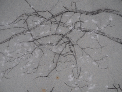 Léopold Franz KOWALSKI : Branche fleurie, c, Dessin original (photo de détail 4) - Crédit photo : Galerie Art.Paris