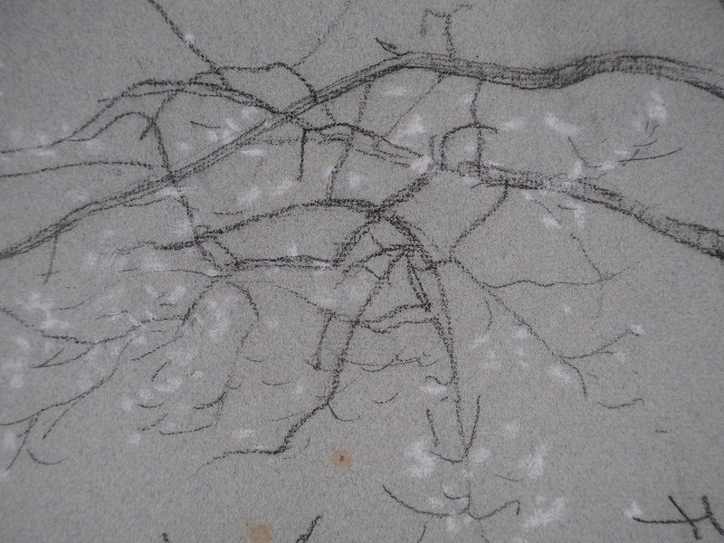 Léopold Franz KOWALSKI : Branche fleurie, c, Dessin original (photo de détail 4) - Crédit photo : Galerie Art.Paris