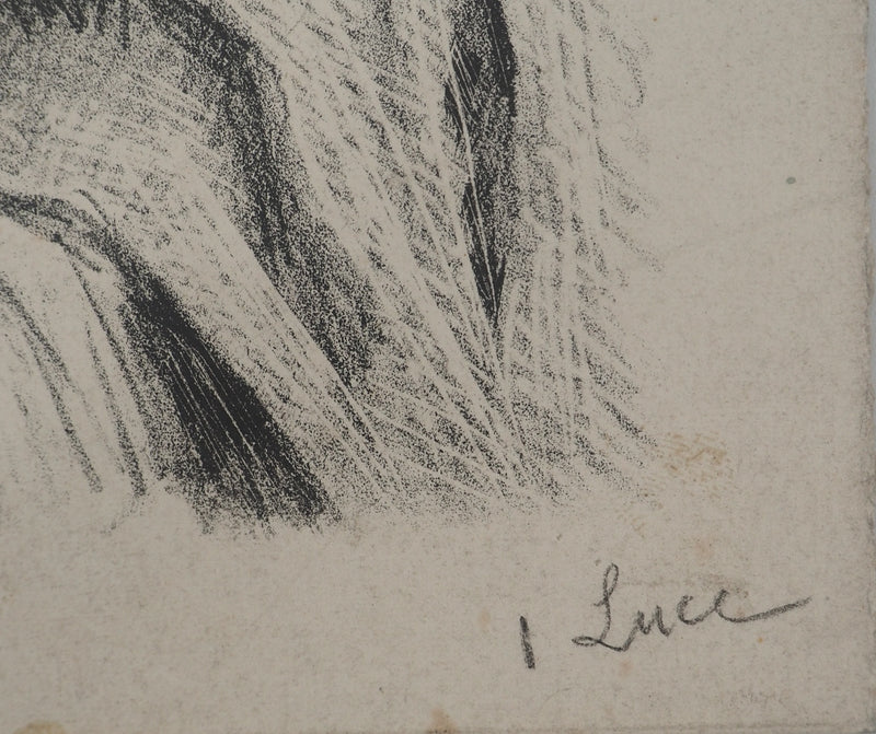 Maximilien LUCE : Vieil homme alité, Lithographie originale (photo de détail 2) - Crédit photo : Galerie Art.Paris