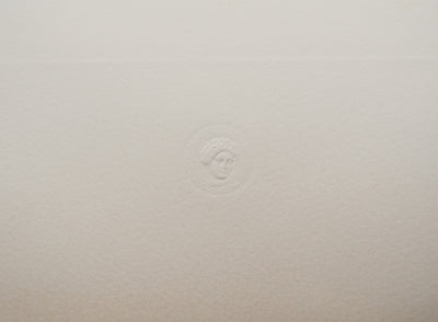 Théodore GUDIN : Combat naval, Gravure originale (photo de détail 6) - Crédit photo : Galerie Art.Paris