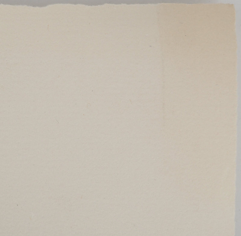 Louis Ambroise GARNERAY :, Gravure originale (photo de détail 6) - Crédit photo : Galerie Art.Paris