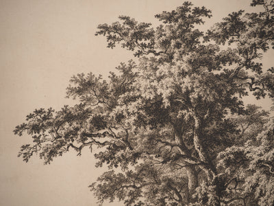 Eugène BLÉRY : Composition aux chênes, Gravure originale (photo de détail 3) - Crédit photo : Galerie Art.Paris