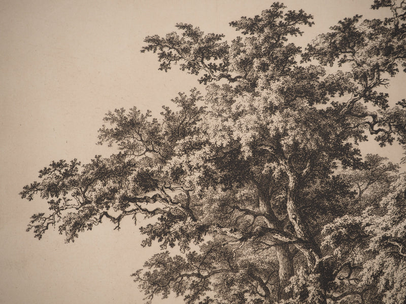 Eugène BLÉRY : Composition aux chênes, Gravure originale (photo de détail 3) - Crédit photo : Galerie Art.Paris