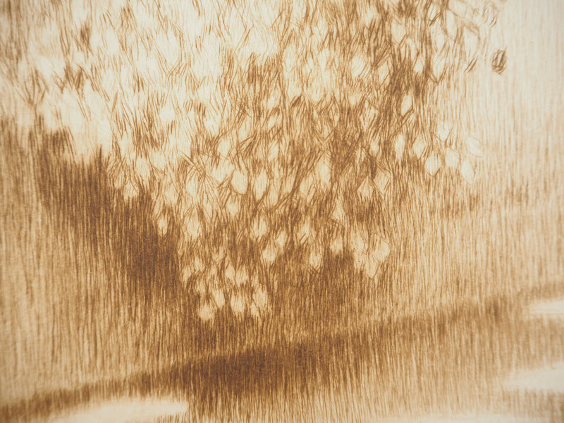 Henri LE SIDANER : Pavillon dans les arbres, Gravure originale (photo de détail 7) - Crédit photo : Galerie Art.Paris