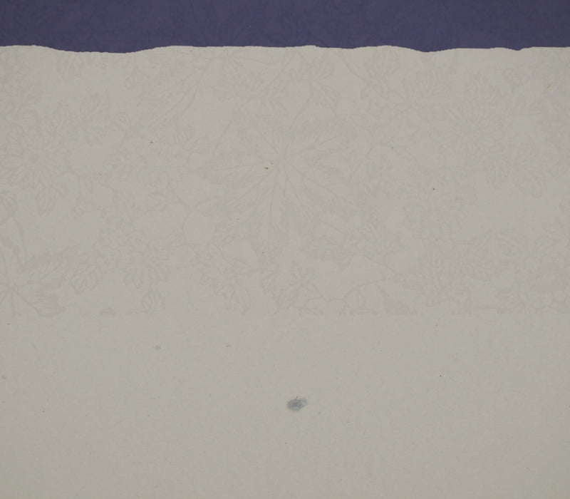 Yvon TAILLANDIER : Le Catitipède violet e.a, Sérigraphie originale (photo de détail 7) - Crédit photo : Galerie Art.Paris