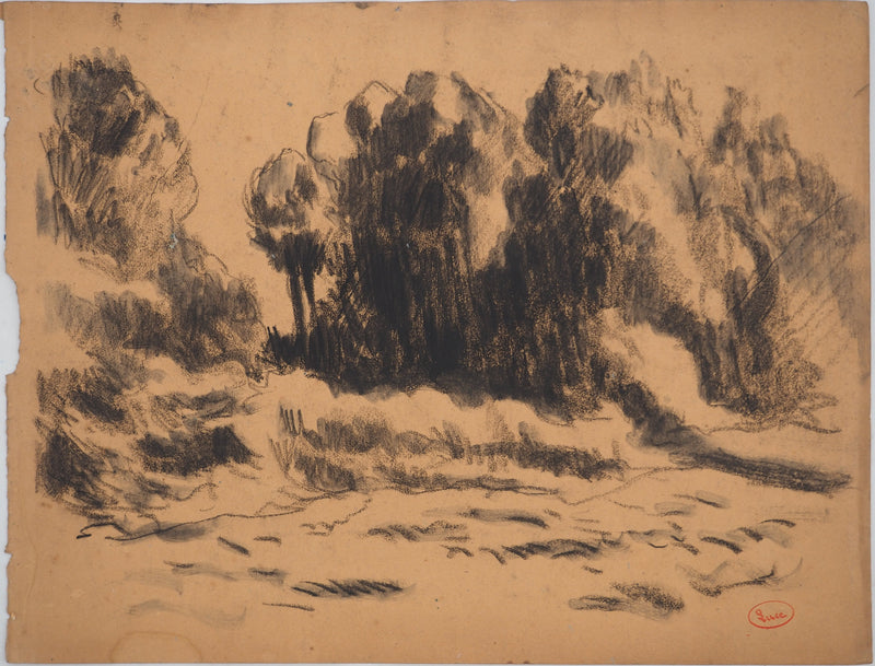 Maximilien LUCE : Le petit bois, Dessin original (vue générale) - Crédit photo : Galerie Art.Paris