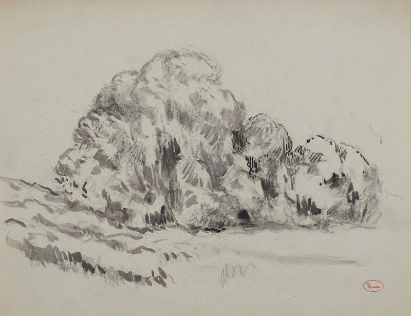 Maximilien LUCE : Le bois joli, Dessin original (vue générale) - Crédit photo : Galerie Art.Paris