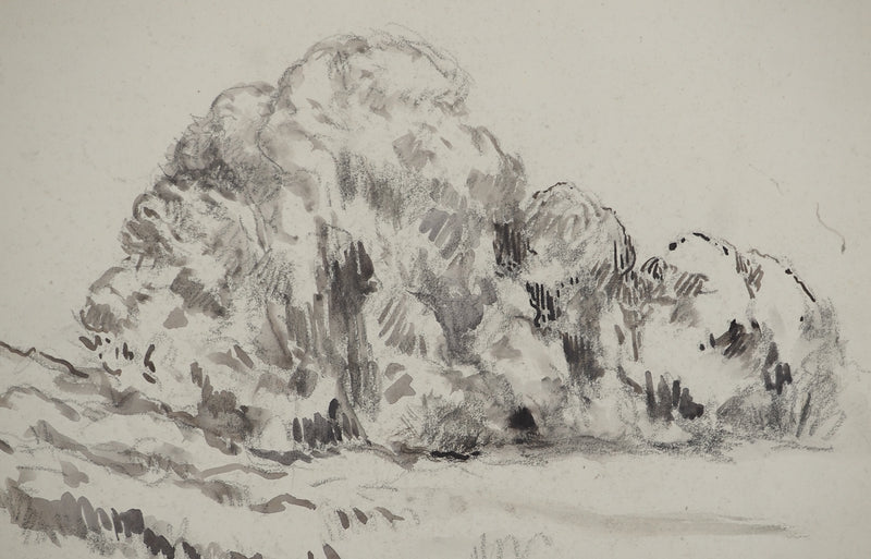 Maximilien LUCE : Le bois joli, Dessin original (photo de détail 3) - Crédit photo : Galerie Art.Paris