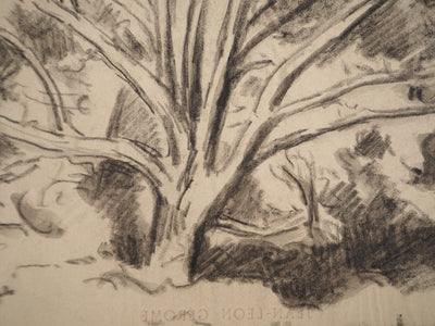 Maximilien LUCE : Etude d'arbre, Dessin original (photo de détail 5) - Crédit photo : Galerie Art.Paris