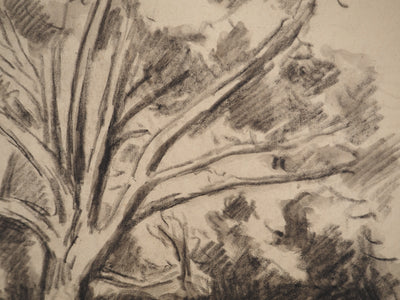 Maximilien LUCE : Etude d'arbre, Dessin original (photo de détail 6) - Crédit photo : Galerie Art.Paris