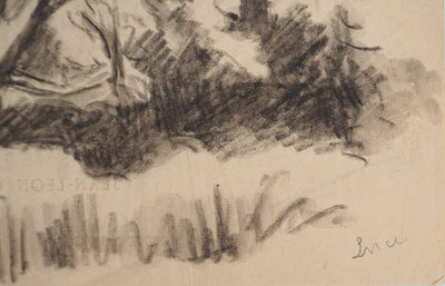 Maximilien LUCE : Etude d'arbre, Dessin original (photo de détail 2) - Crédit photo : Galerie Art.Paris