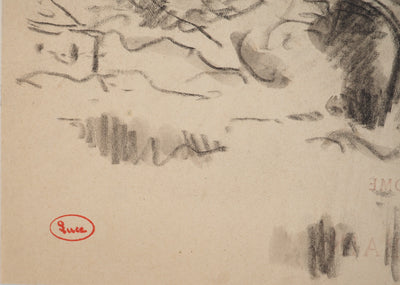 Maximilien LUCE : Etude d'arbre, Dessin original (photo de détail 3) - Crédit photo : Galerie Art.Paris