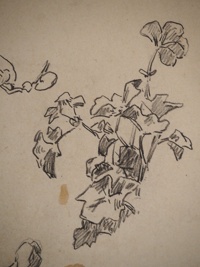 Maximilien LUCE : Etude de fleurs, Dessin original (photo de détail 5) - Crédit photo : Galerie Art.Paris