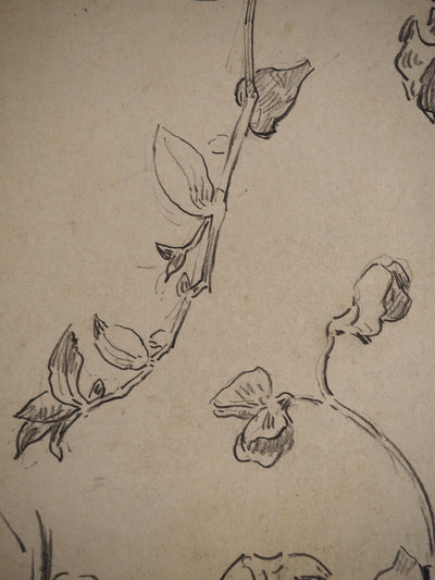 Maximilien LUCE : Etude de fleurs, Dessin original (photo de détail 6) - Crédit photo : Galerie Art.Paris
