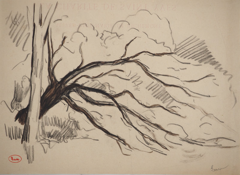 Maximilien LUCE : Paysage avec arbre aux branches tordues, Dessin original (vue générale) - Crédit photo : Galerie Art.Paris