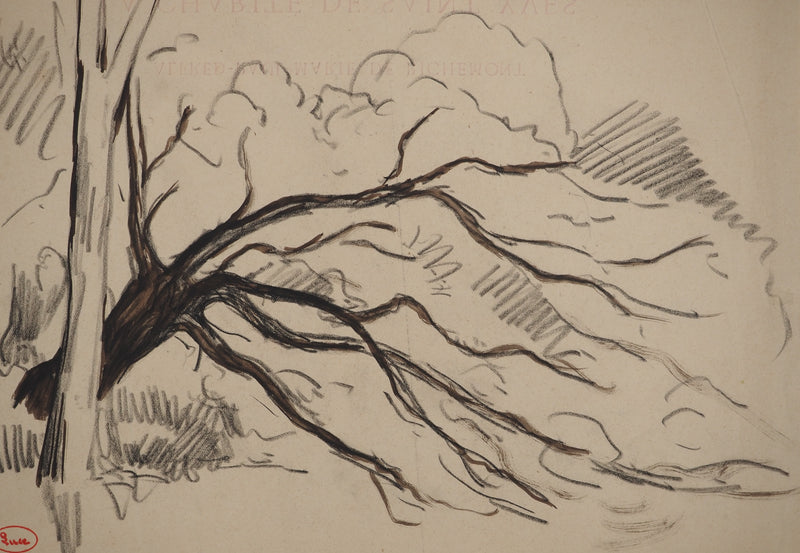 Maximilien LUCE : Paysage avec arbre aux branches tordues, Dessin original (photo de détail 4) - Crédit photo : Galerie Art.Paris