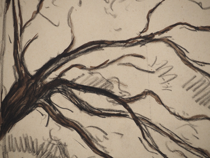 Maximilien LUCE : Paysage avec arbre aux branches tordues, Dessin original (photo de détail 5) - Crédit photo : Galerie Art.Paris