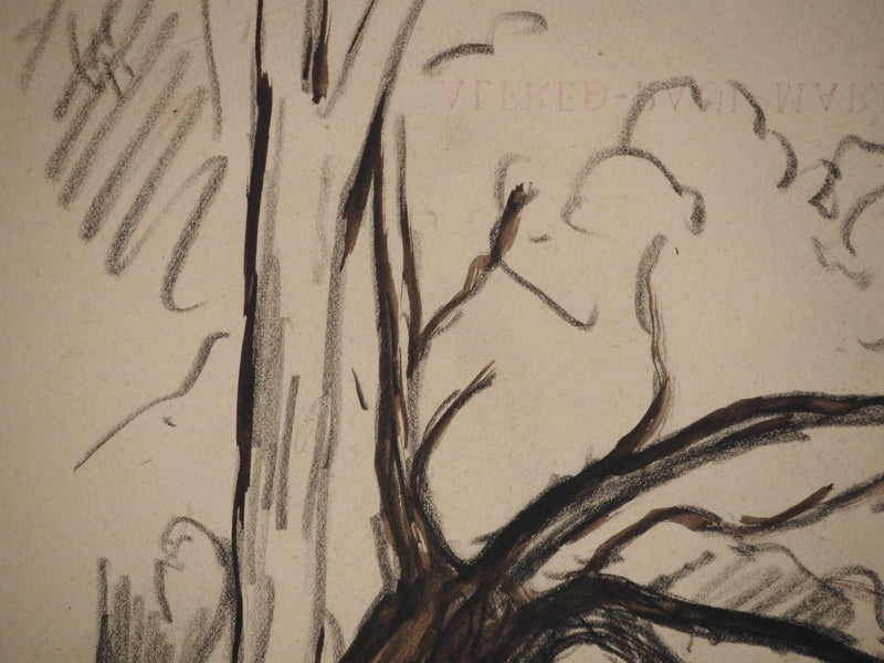 Maximilien LUCE : Paysage avec arbre aux branches tordues, Dessin original (photo de détail 7) - Crédit photo : Galerie Art.Paris