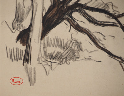 Maximilien LUCE : Paysage avec arbre aux branches tordues, Dessin original (photo de détail 3) - Crédit photo : Galerie Art.Paris