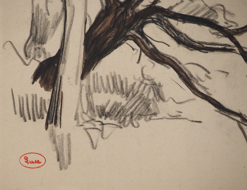 Maximilien LUCE : Paysage avec arbre aux branches tordues, Dessin original (photo de détail 3) - Crédit photo : Galerie Art.Paris