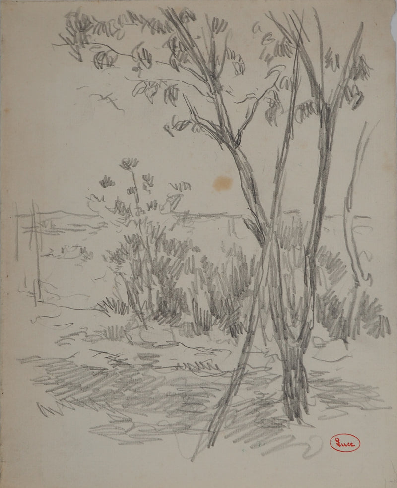 Maximilien LUCE : Paysage champêtre, Dessin original (vue générale) - Crédit photo : Galerie Art.Paris
