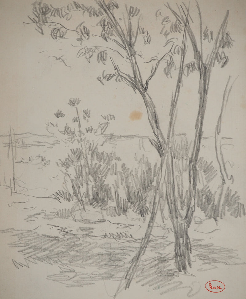 Maximilien LUCE : Paysage champêtre, Dessin original (photo de détail 3) - Crédit photo : Galerie Art.Paris