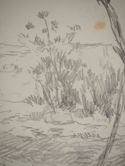 Maximilien LUCE : Paysage champêtre, Dessin original (photo de détail 4) - Crédit photo : Galerie Art.Paris