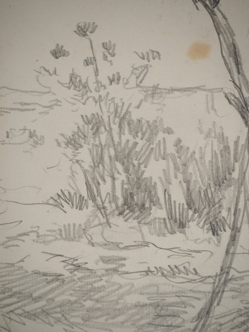 Maximilien LUCE : Paysage champêtre, Dessin original (photo de détail 4) - Crédit photo : Galerie Art.Paris