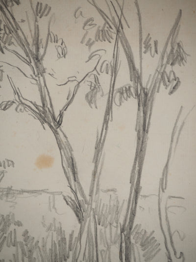 Maximilien LUCE : Paysage champêtre, Dessin original (photo de détail 5) - Crédit photo : Galerie Art.Paris
