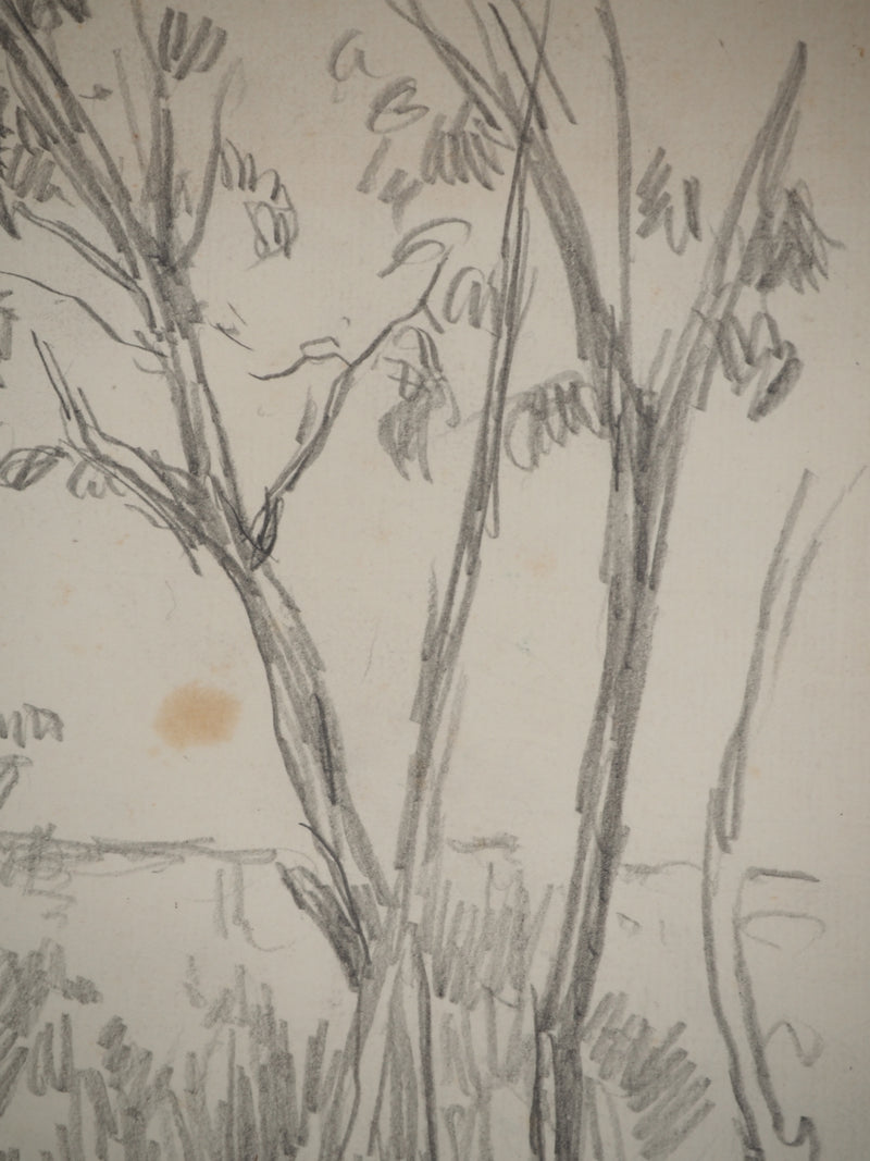 Maximilien LUCE : Paysage champêtre, Dessin original (photo de détail 5) - Crédit photo : Galerie Art.Paris