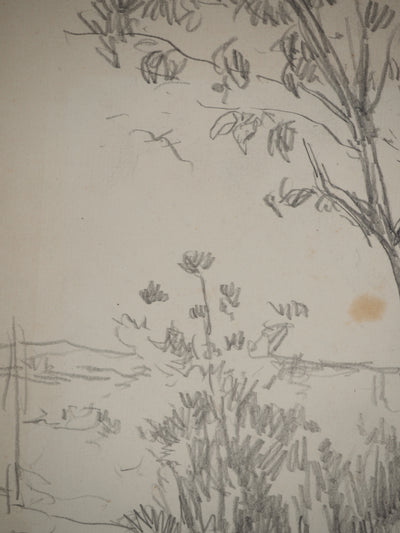 Maximilien LUCE : Paysage champêtre, Dessin original (photo de détail 6) - Crédit photo : Galerie Art.Paris