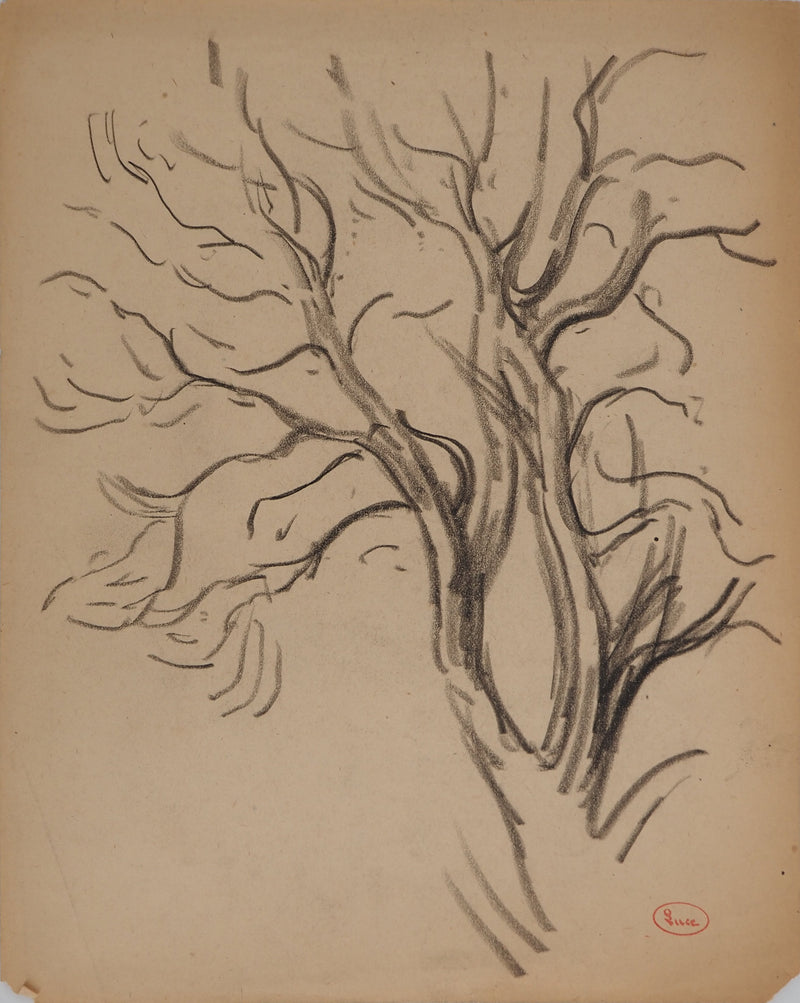 Maximilien LUCE : Etude de branches, Dessin original (vue générale) - Crédit photo : Galerie Art.Paris