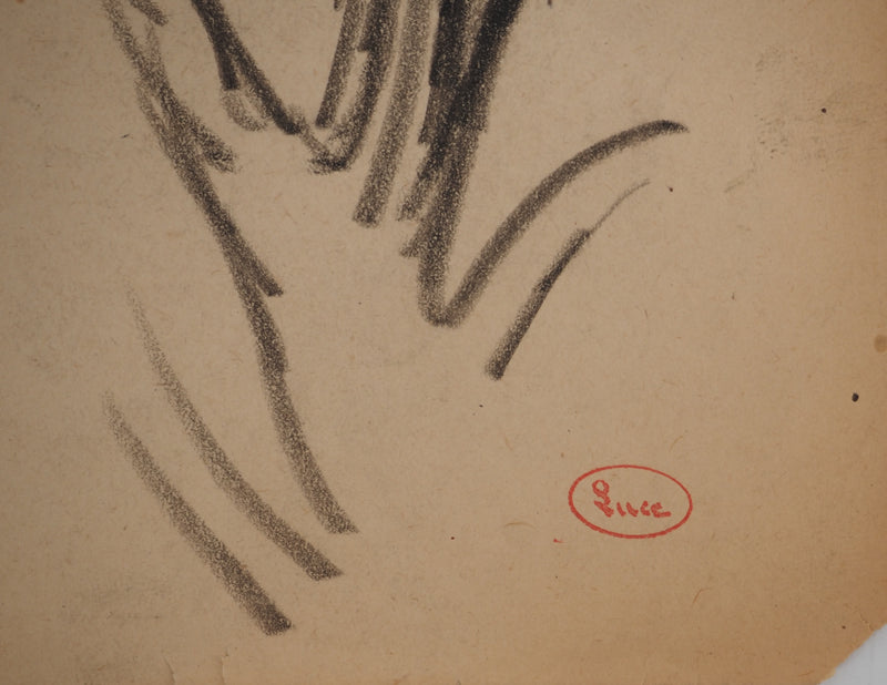 Maximilien LUCE : Etude de branches, Dessin original (photo de détail 2) - Crédit photo : Galerie Art.Paris