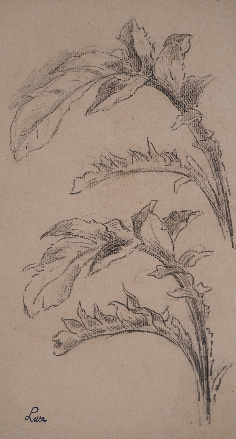 Maximilien LUCE : Etude de feuilles, Dessin original (photo de détail 3) - Crédit photo : Galerie Art.Paris