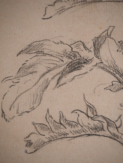Maximilien LUCE : Etude de feuilles, Dessin original (photo de détail 5) - Crédit photo : Galerie Art.Paris