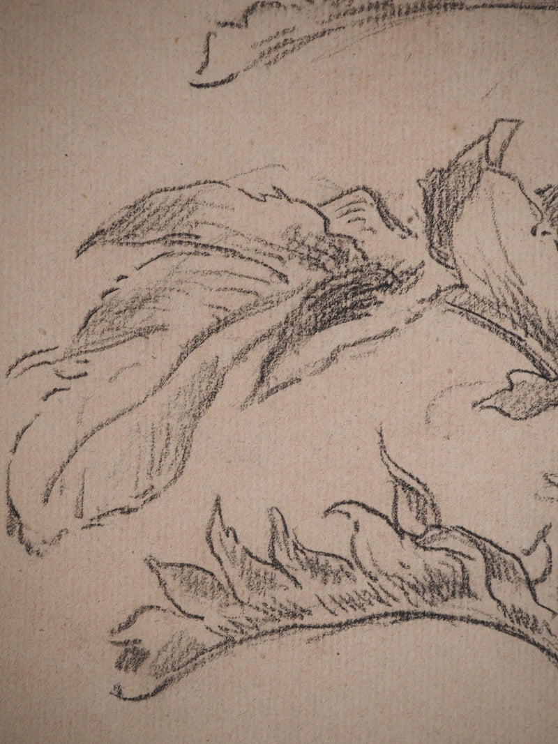 Maximilien LUCE : Etude de feuilles, Dessin original (photo de détail 5) - Crédit photo : Galerie Art.Paris