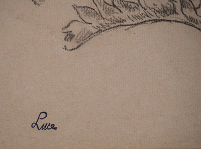 Maximilien LUCE : Etude de feuilles, Dessin original (photo de détail 2) - Crédit photo : Galerie Art.Paris
