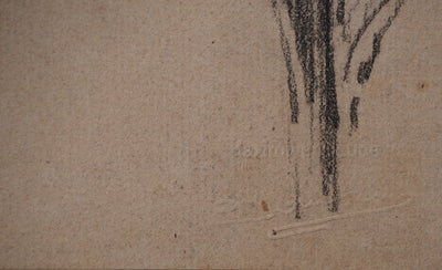 Maximilien LUCE : Etude de feuilles, Dessin original (photo de détail 4) - Crédit photo : Galerie Art.Paris