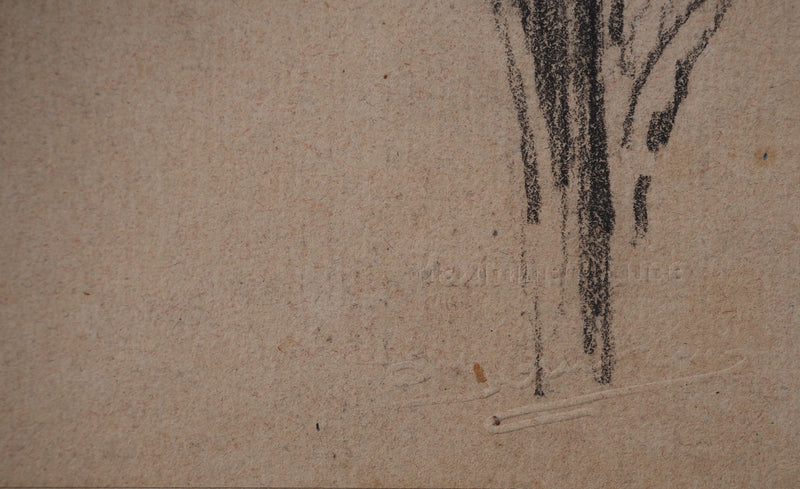Maximilien LUCE : Etude de feuilles, Dessin original (photo de détail 4) - Crédit photo : Galerie Art.Paris